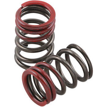 XCELDYNE Valve Springs - Exhaust - Kawasaki | Suzuki